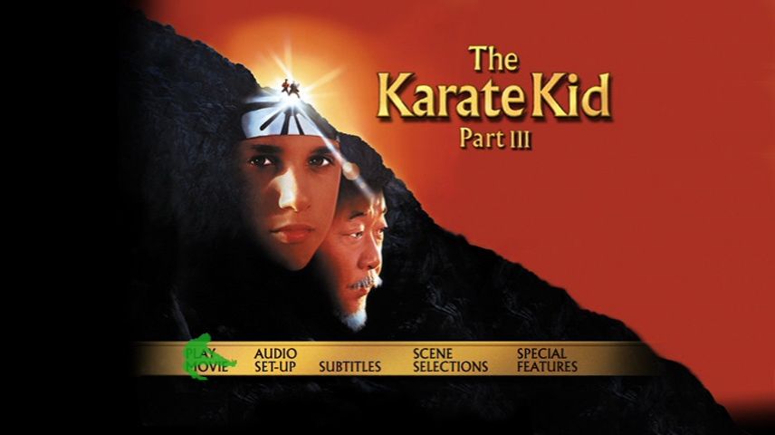 Karate Kid Iii [DVD]: Ralph Macchio, "Pat" Morita, Varios, John Avildsen, Ralph Macchio, Noriyuki "Pat" Películas Y TV | pamso.pl