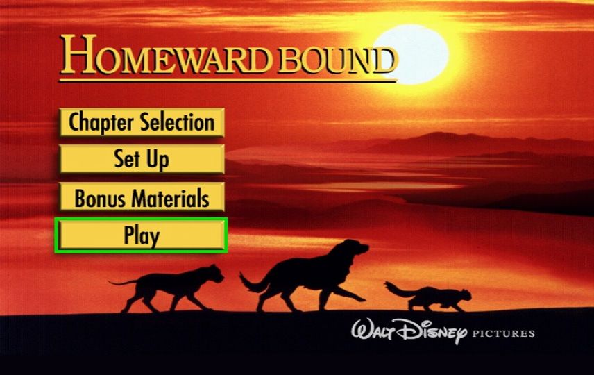 homeward bound the incredible journey 1993