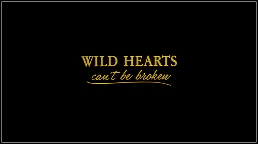 wild hearts cant be broken dvd