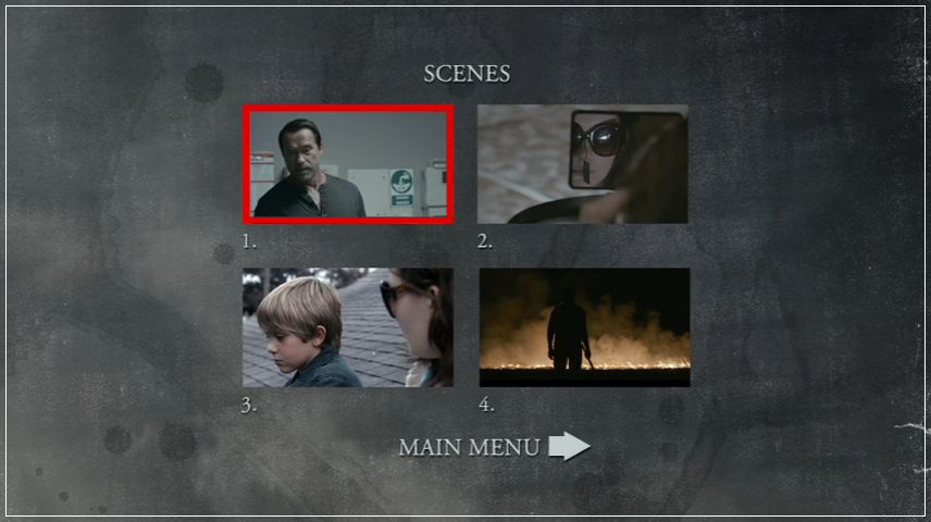 Scene Selection Menu