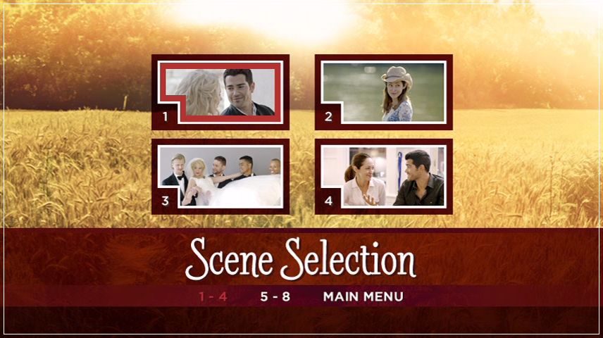 Scene Selection Menu