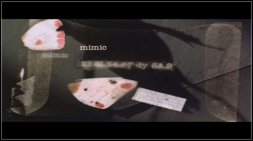 Movie Title