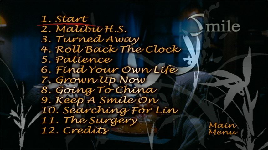 Scene Selection Menu