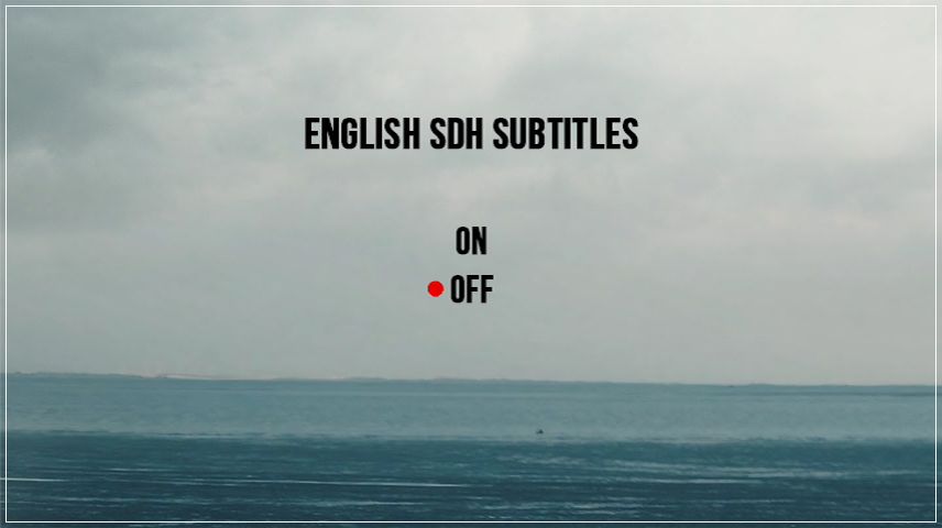 Setup Menu