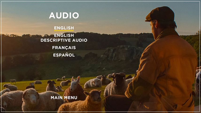 Setup Menu