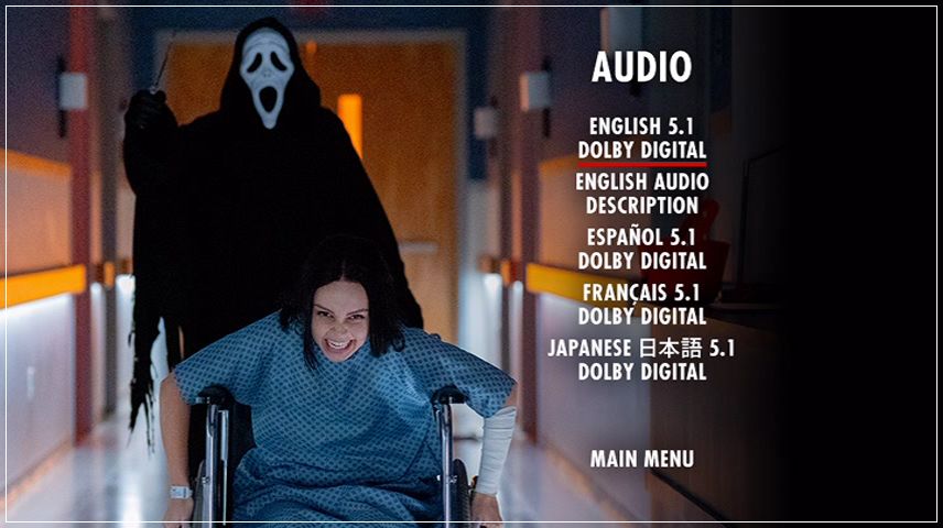 Setup Menu