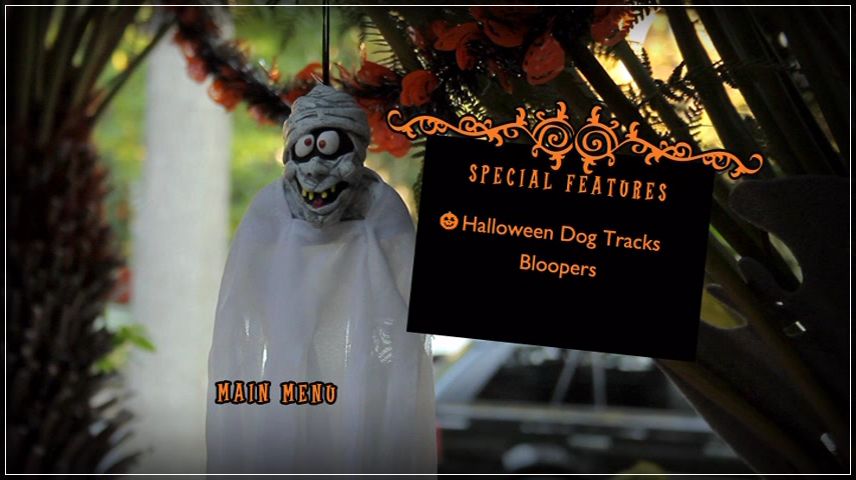 Special Features Menu