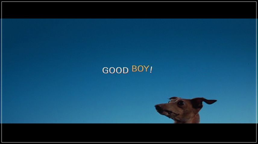 Movie Title